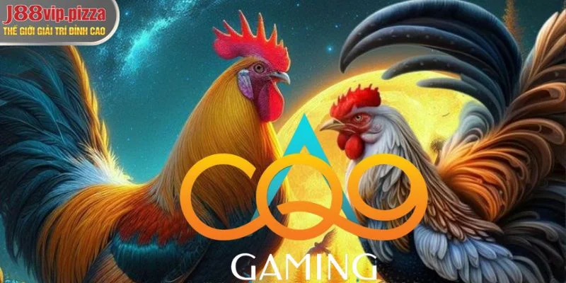 Khái quát về sảnh cá cược đá gà CQ9