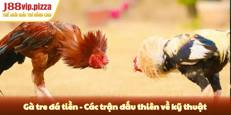 Gà tre đá tiền - Các trận đấu thiên về kỹ thuật